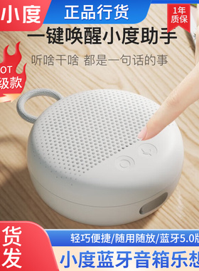 小度 XD-SSA01-2103