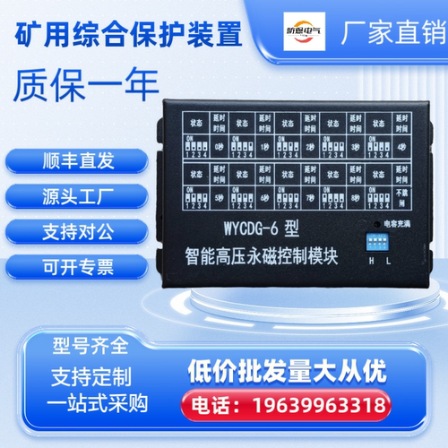 WYCDG-6高压永磁控制模块电光原厂