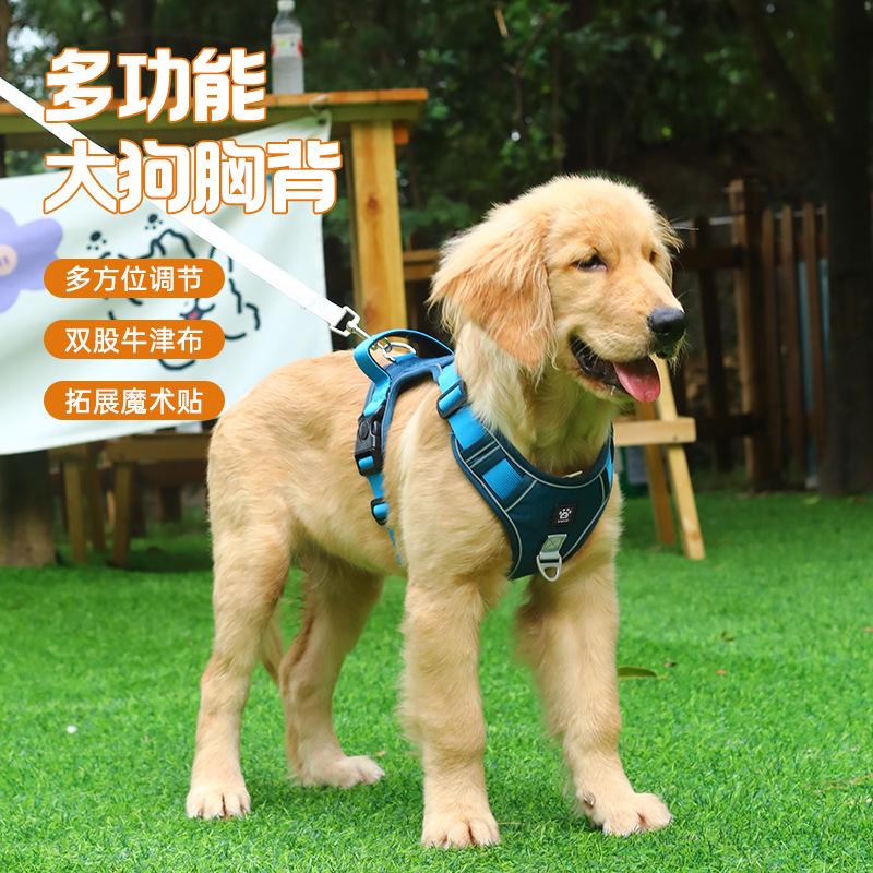 狗狗牵引绳金毛拉布拉多背心式大狗胸背带防爆冲遛狗绳可调节胸背