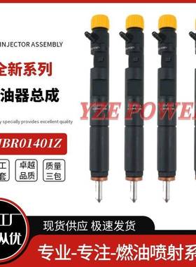 EJBR01401Z共轨柴油喷油器166003978R适用于NISSAN MIC稳定