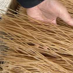 柠檬伯伯 安岳周礼纯红薯粉条 酸辣粉 红苕粗粉条 传统工艺 包邮