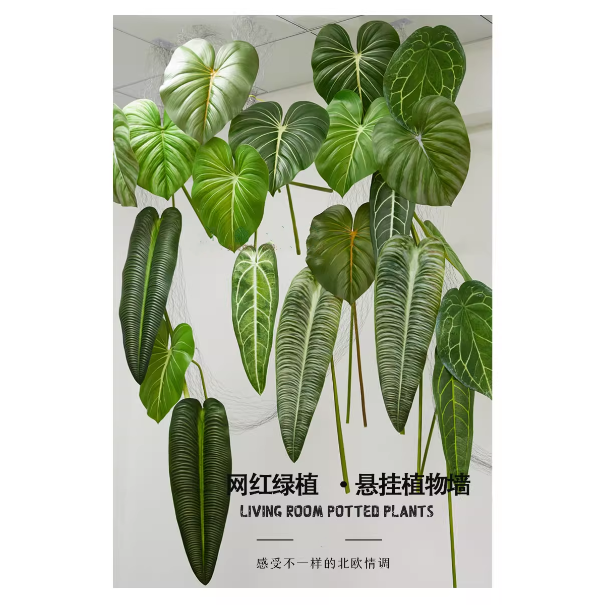 仿真海宇叶蔓绿绒叶布景装饰