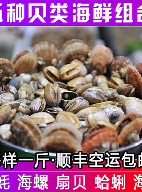 青岛海鲜贝类组合大咖