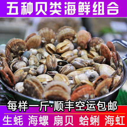 青岛贝类海鲜大咖海鲜组合蛤蜊扇贝海螺生蚝牡蛎海虹鲜活新鲜水产
