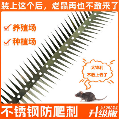 不锈钢防鼠爬刺品质保障不生锈