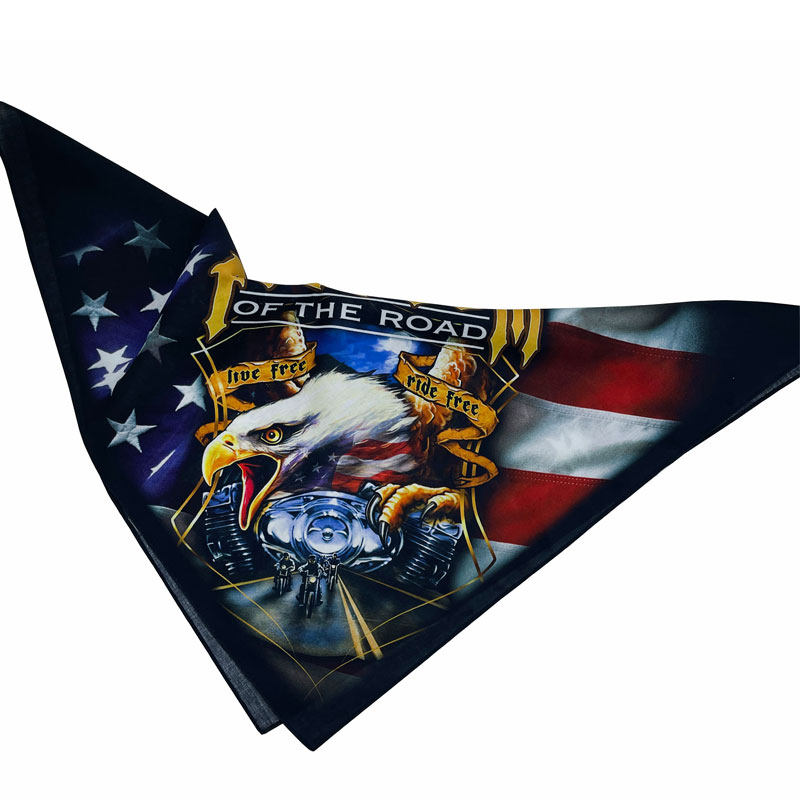 鹰骑行头巾男款包头三角潮巾发带摩托车蒙面巾废土风美式复古方巾