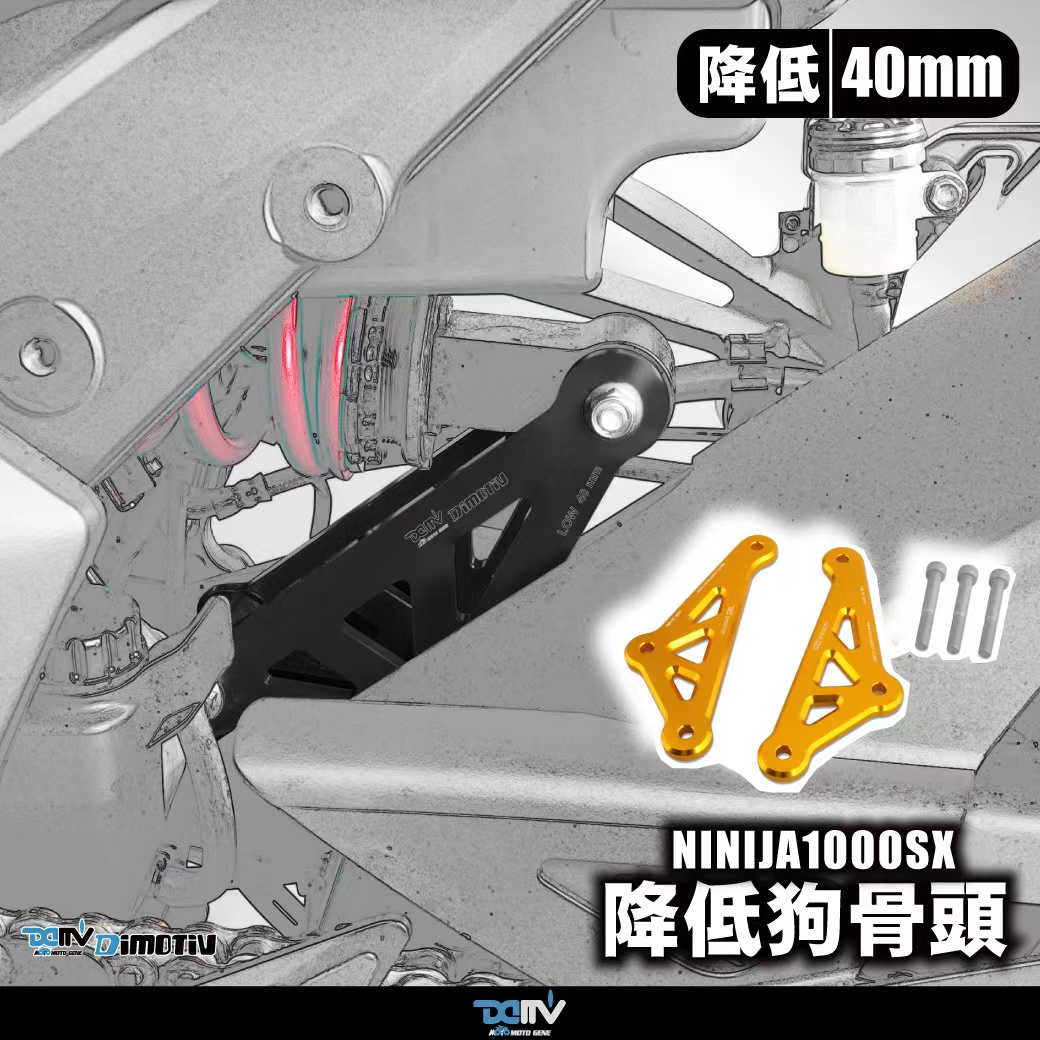 DMV川崎NINJA1000SX车身降低座高
