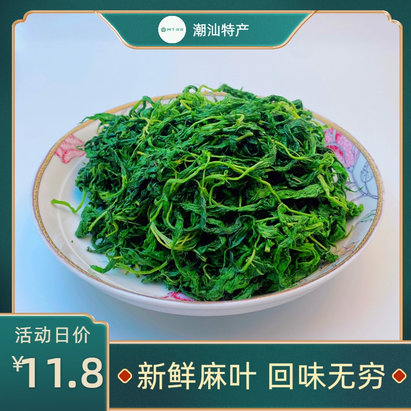 麻叶菜潮汕 潮阳特产新鲜蔬菜半成品 精选新鲜麻叶特制500g去枝头