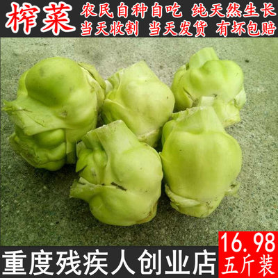 都江堰农家菜园纯天然露天蔬菜新鲜农家自种榨菜头青菜头菜疙瘩菜
