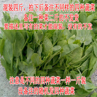 都江堰农家菜园新鲜蔬菜豌豆尖折耳根莴笋油菜冬寒菜四斤混装包邮