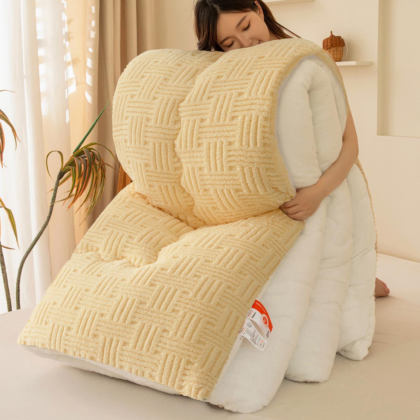 2025新款加厚保暖羊羔绒冬被被子舒棉绒提花塔芙绒跨境 100*150cm