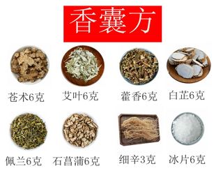 藿香苍术白芷细辛菖蒲艾叶冰片打碎装 中药材香囊随身香包 包