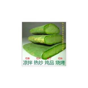 新鲜可食用仙人掌绿色蔬菜煮水植物多肉盆栽植物室内外盆栽花卉