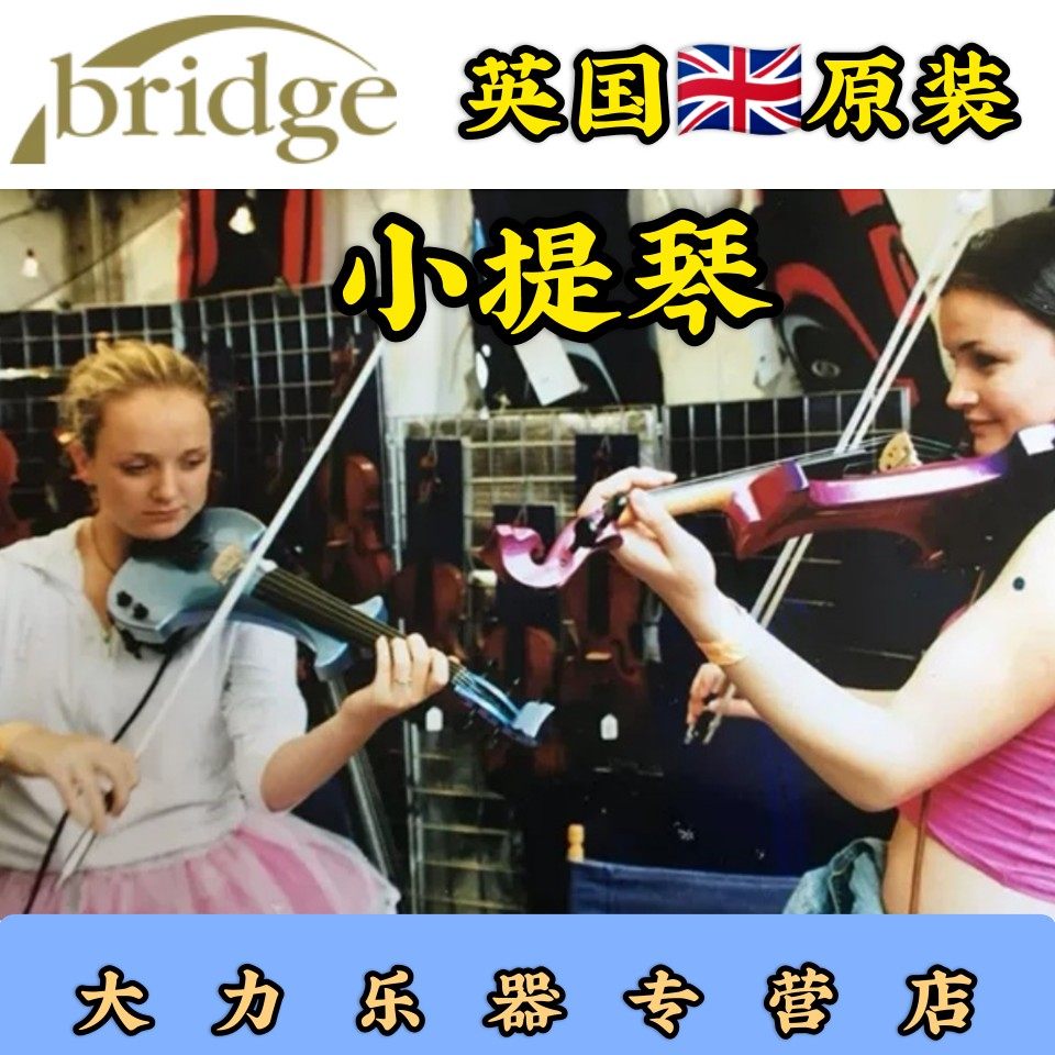 欧洲Bridge桥牌静音小提琴专业演出耳机练习表演电音电子演奏级
