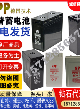 NPP耐普蓄电池2V100A200A300A400A500A600A800A1000AH机房UPS电源