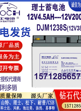 LEOCH理士蓄电池DJM1238S铅酸免维护密封阀控式电瓶12V38AH直流屏
