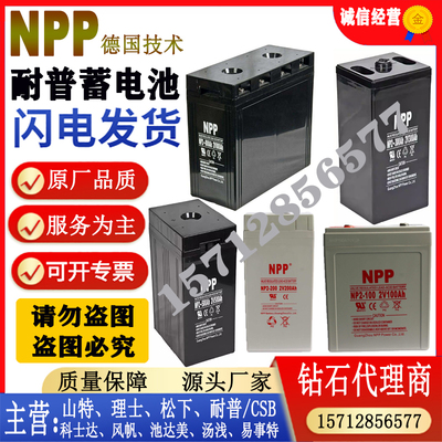 NPP发电厂中国大陆蓄电池