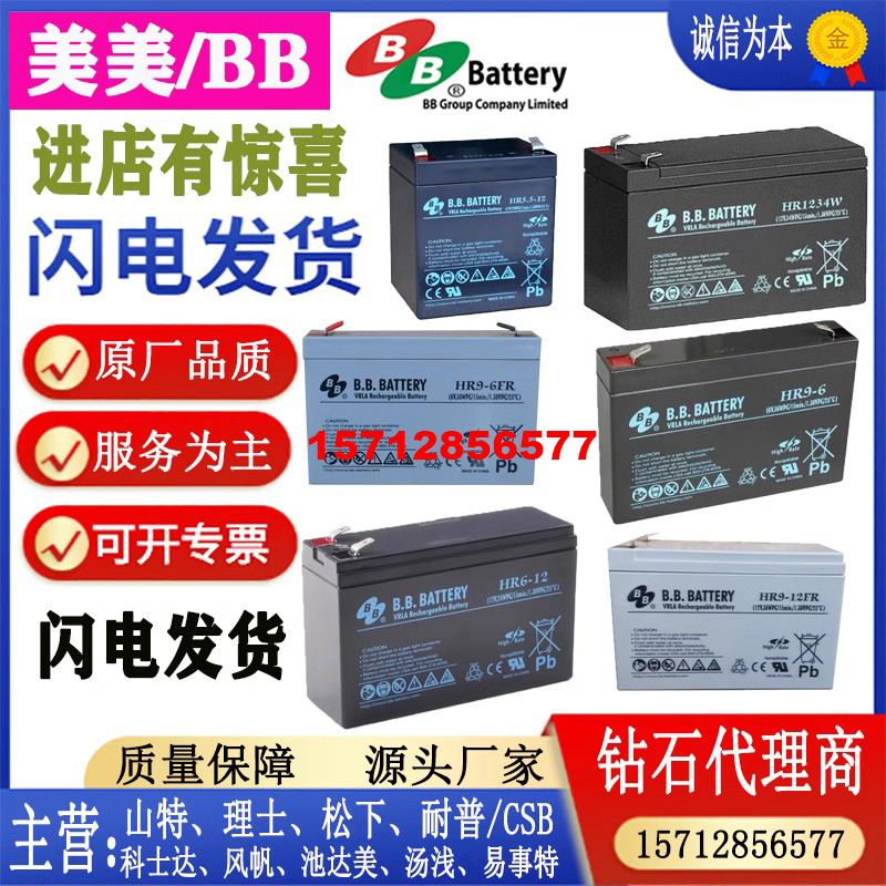 BB美美BATTERY蓄电池HR9-6FR6V9AH12AHHR9-12V5.5AH6AH9AHHR1234W 鲜花速递/花卉仿真/绿植园艺 割草机/草坪机 原图主图