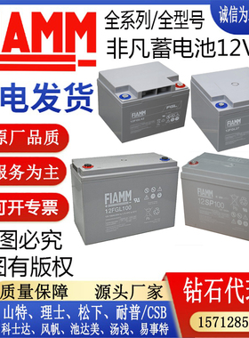 FIAMM非凡12V蓄电池12FGHL48/12FGL27/12FGL42/12FGL100/12SP26AH