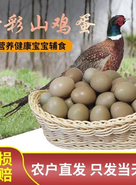 60枚野鸡蛋七彩山鸡蛋正宗农村自养新鲜营养高整箱当天蛋发货整箱