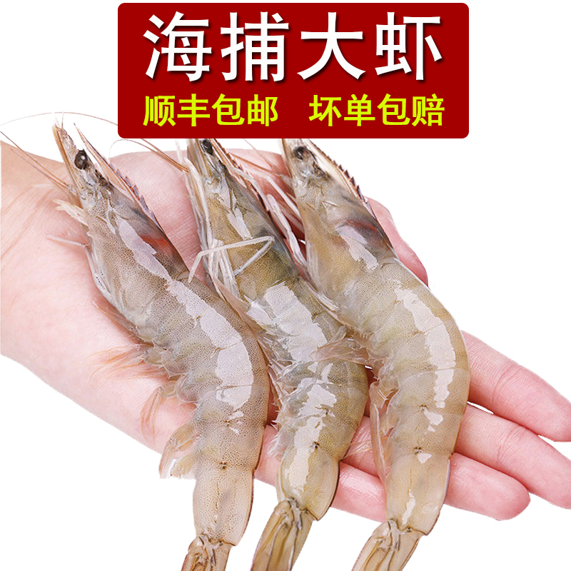 威海海鲜新鲜大虾野生海捕4斤超大特大生的鲜活白虾对虾冻基围虾