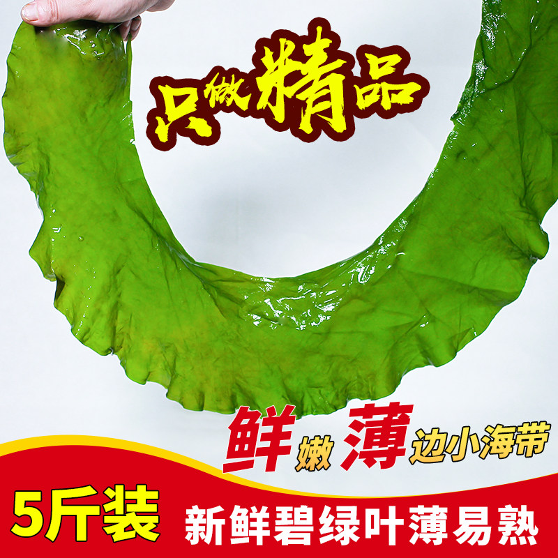 荣成新鲜半干软薄嫩小海带裙苗芽火锅寿司包饭串串海白菜一箱5斤