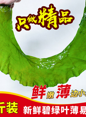 荣成新鲜半干软薄嫩小海带裙苗芽火锅寿司包饭串串海白菜一箱5斤