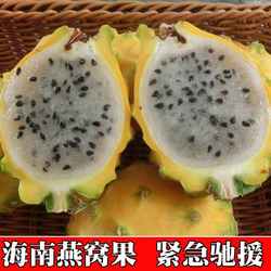 空运海南新鲜当季热带水果麒麟果燕窝果黄皮白肉火龙果
