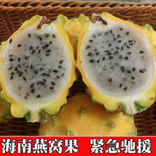 顺丰9斤海南三亚燕窝果季节热销