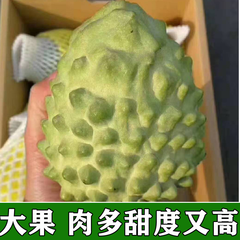 海南释迦果甜度甘甘的