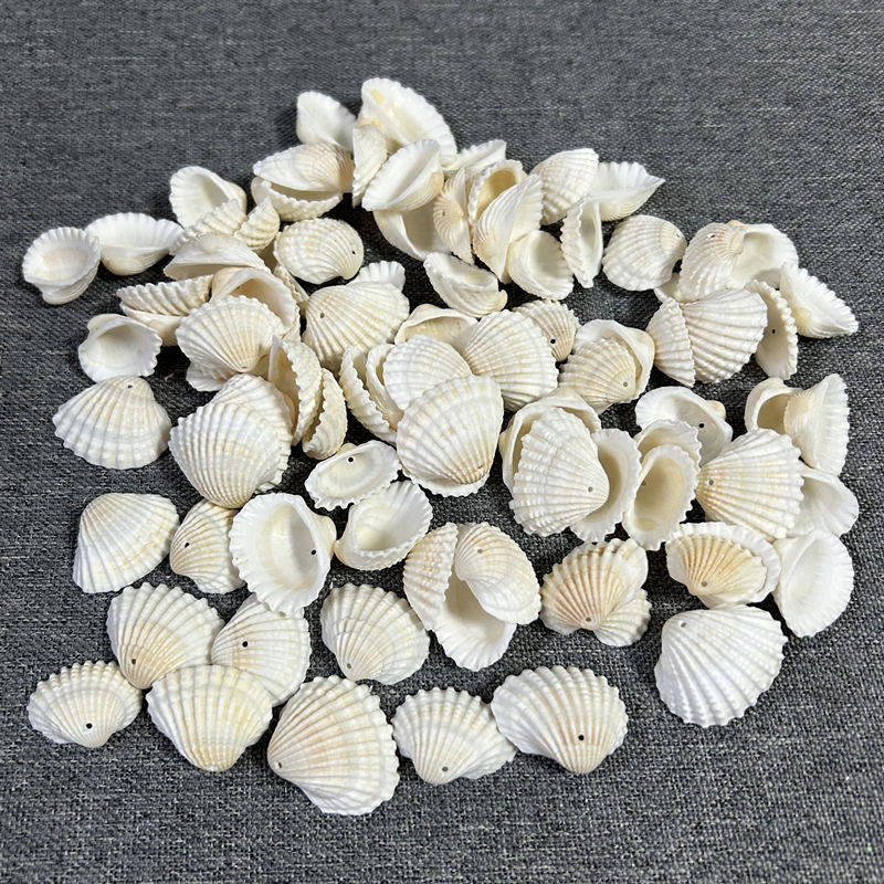 天然白色贝壳打孔贝壳书 手工贝壳diy相框风铃幼儿园手工课材料包