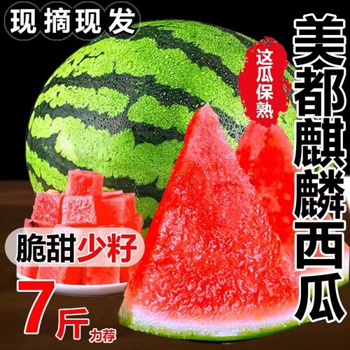 美都麒麟西瓜当季新鲜水果八斤
