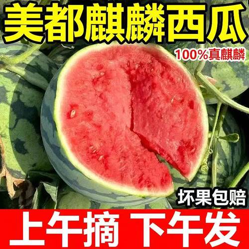 美都麒麟西瓜比普通西瓜好吃十倍