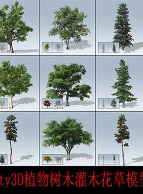 unity3D植物SpeedTree 树木植物灌木花草模型资源包/u3d植物植被