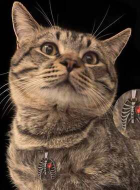 Vintage古着 Bone&Heart 项链 复古 朋克 Y2K 亚文化