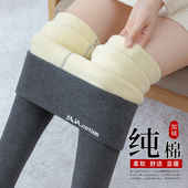 紧身弹力羊羔绒保暖秋裤 加绒加厚高腰大码 女外穿秋冬季 纯棉打底裤