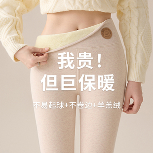 保暖裤 纯棉羊羔绒打底裤 东北特厚大码 加绒加厚棉裤 女外穿秋冬季