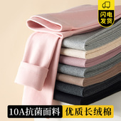 保暖裤 紧身弹力大码 棉毛线裤 纯棉秋裤 打底裤 薄款 修身 女内穿秋冬季