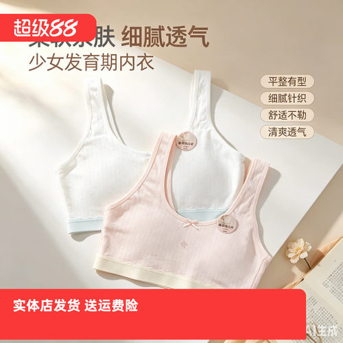 香蜜闺秀26212067无钢圈A杯后背透气网少女文胸一阶段舒适透气