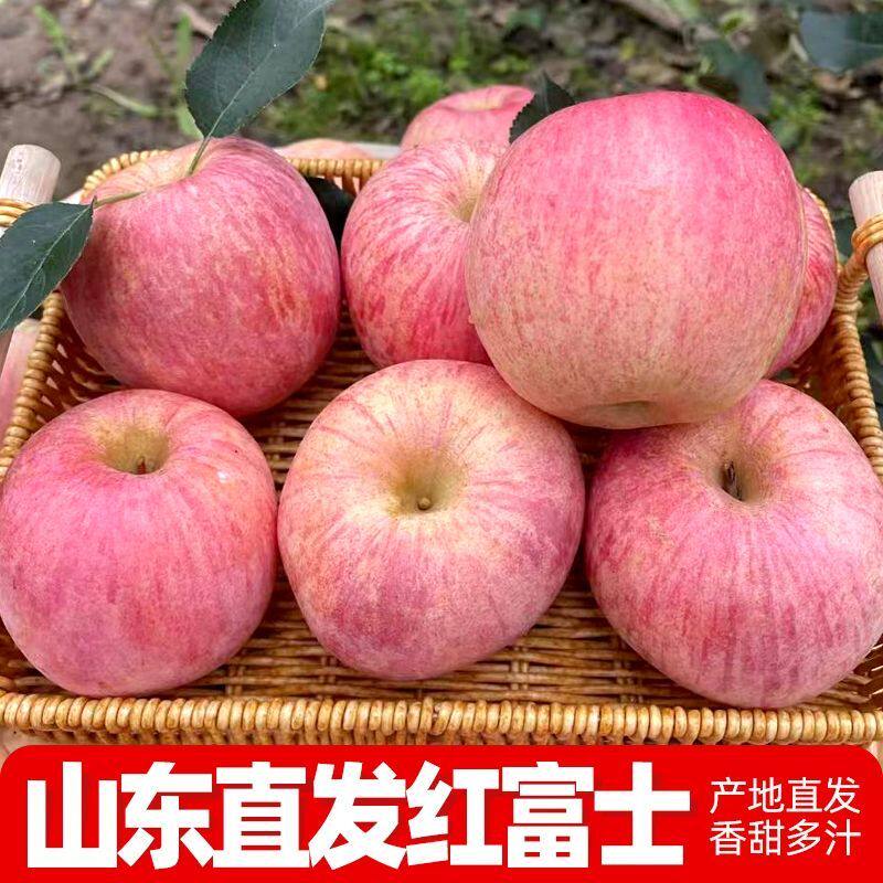 山东烟台红富士苹果当季水果条纹新鲜超大脆甜精品礼盒装包邮到家