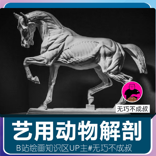艺用动物绘画解剖雕塑建模马牛专业视频教程无巧不成叔列宾艺研社