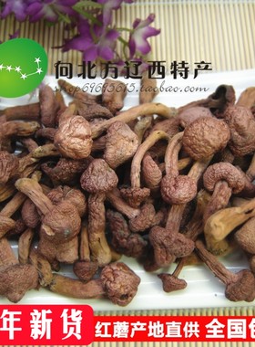 野生红蘑菇东北特产肉蘑松树伞钉