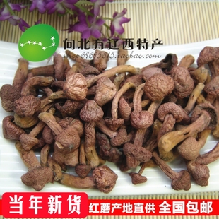 东北特产红蘑 野生红蘑菇干货 肉蘑松树伞钉松蘑菇/500g全国包邮