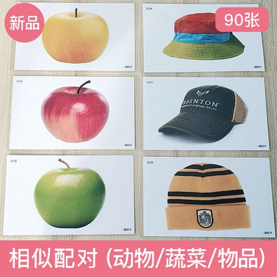 自闭症1-6思维逻辑训练卡片教具