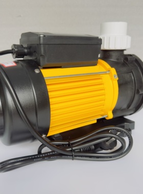 TDA100 TDA200T按摩浴缸广东海水泵泳池大流量高扬程机械密封