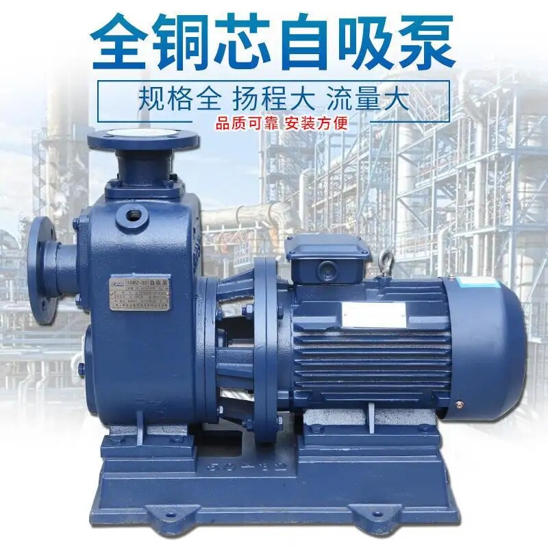 100BZ-20佛山山字80ZB-15广州长远大流量自吸水泵增压高扬程污水