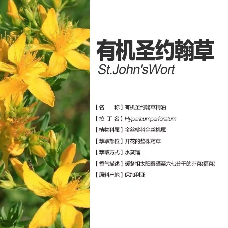 保加利亚 圣约翰草精油5ml 缓解肌肉酸疼 蒸馏 运费问题联系客服