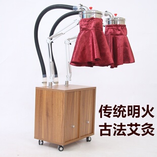 宏艾A9明火艾灸养生快美容院专用家用立式艾炙盒温灸熏蒸净化仪器