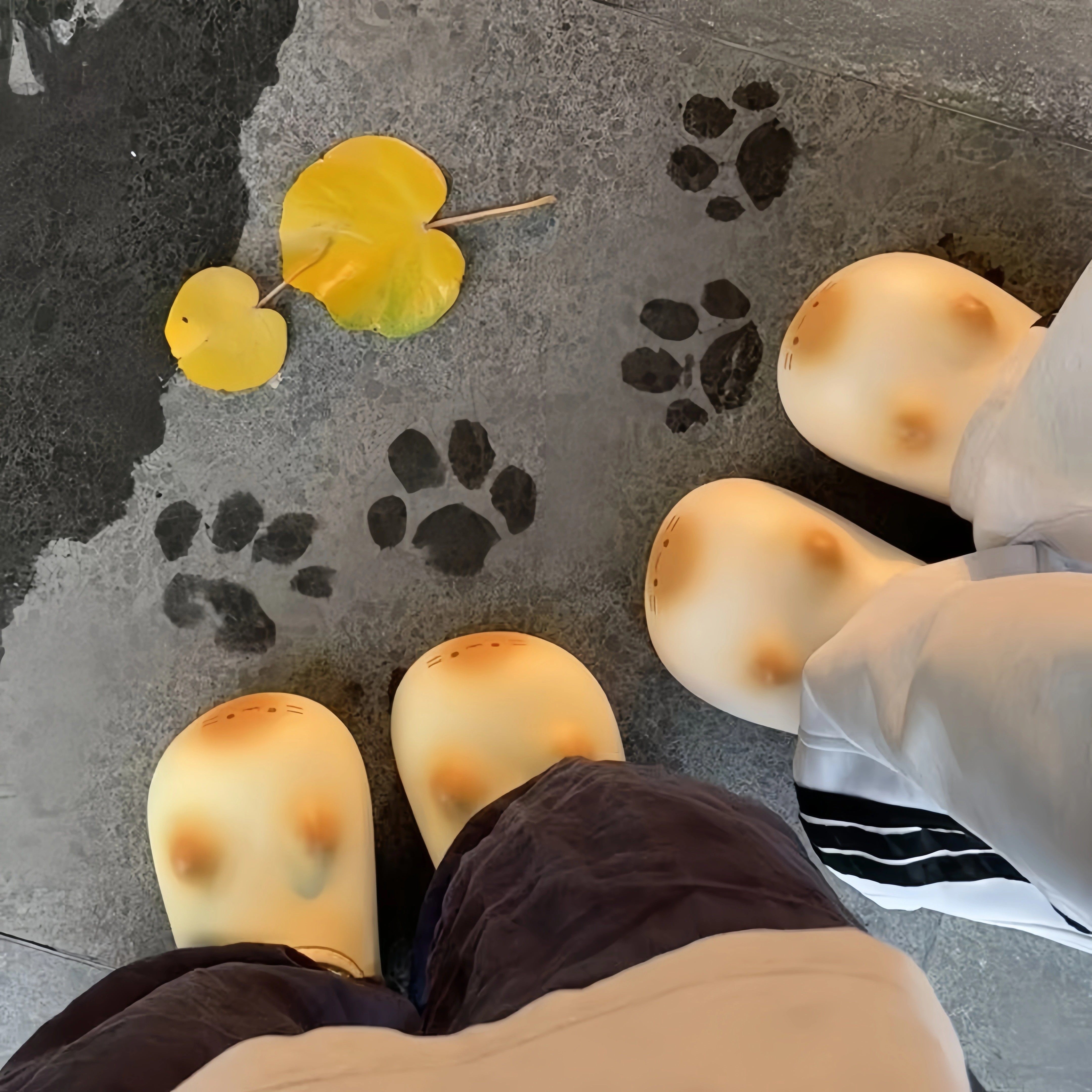 猫爪拖鞋立体猫咪可爱小猫爪印棉毛绒拖鞋女款男士包跟冬儿童防水