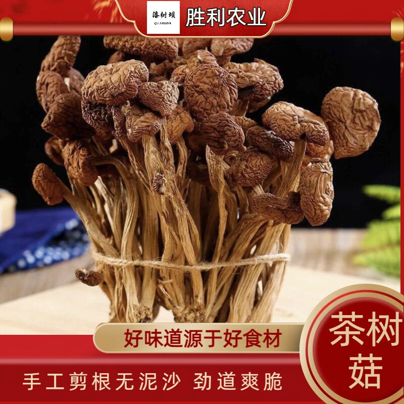 茶树菇汉中特产干货干菌